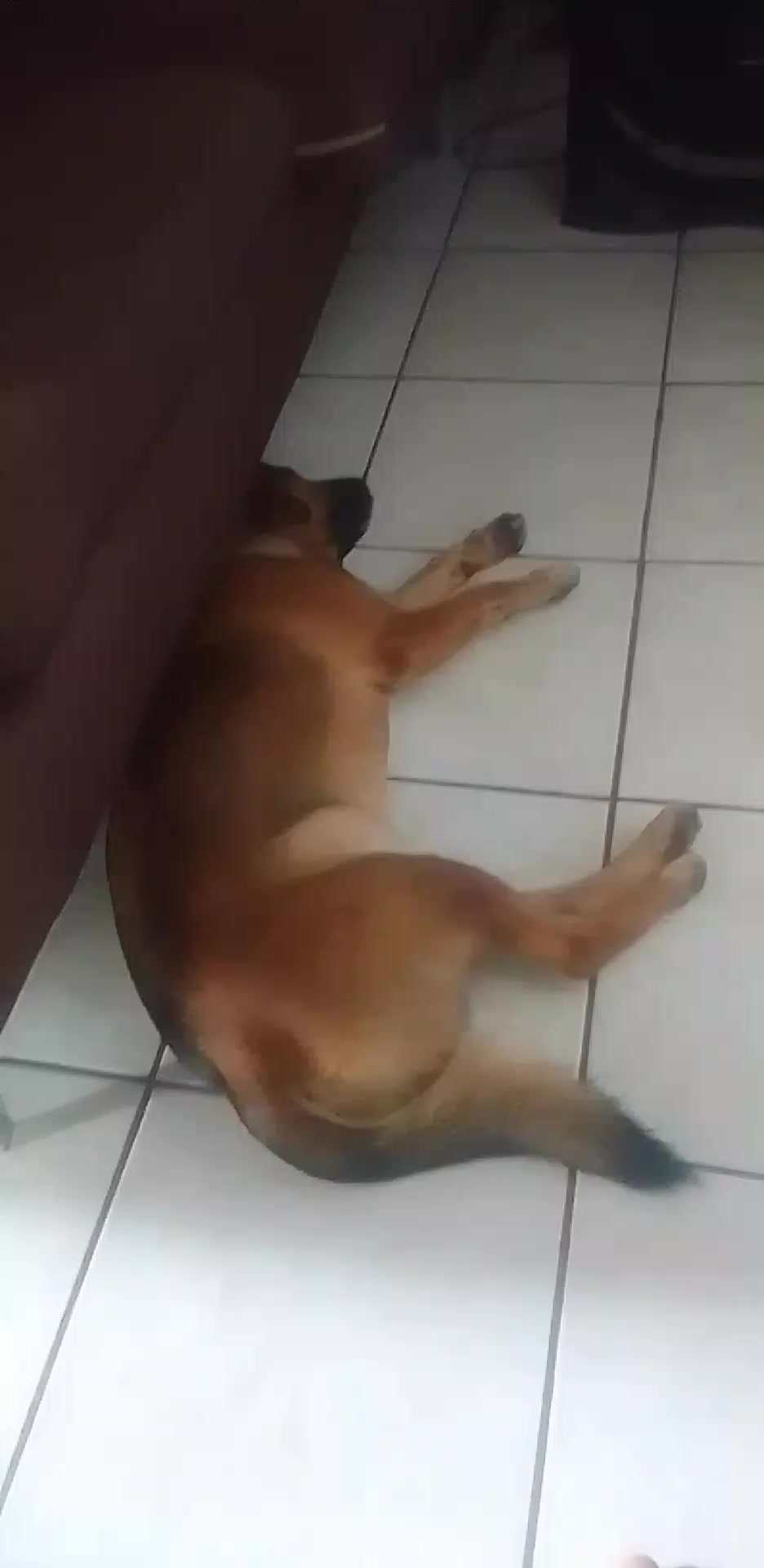@Bendecido GÓMEZ...