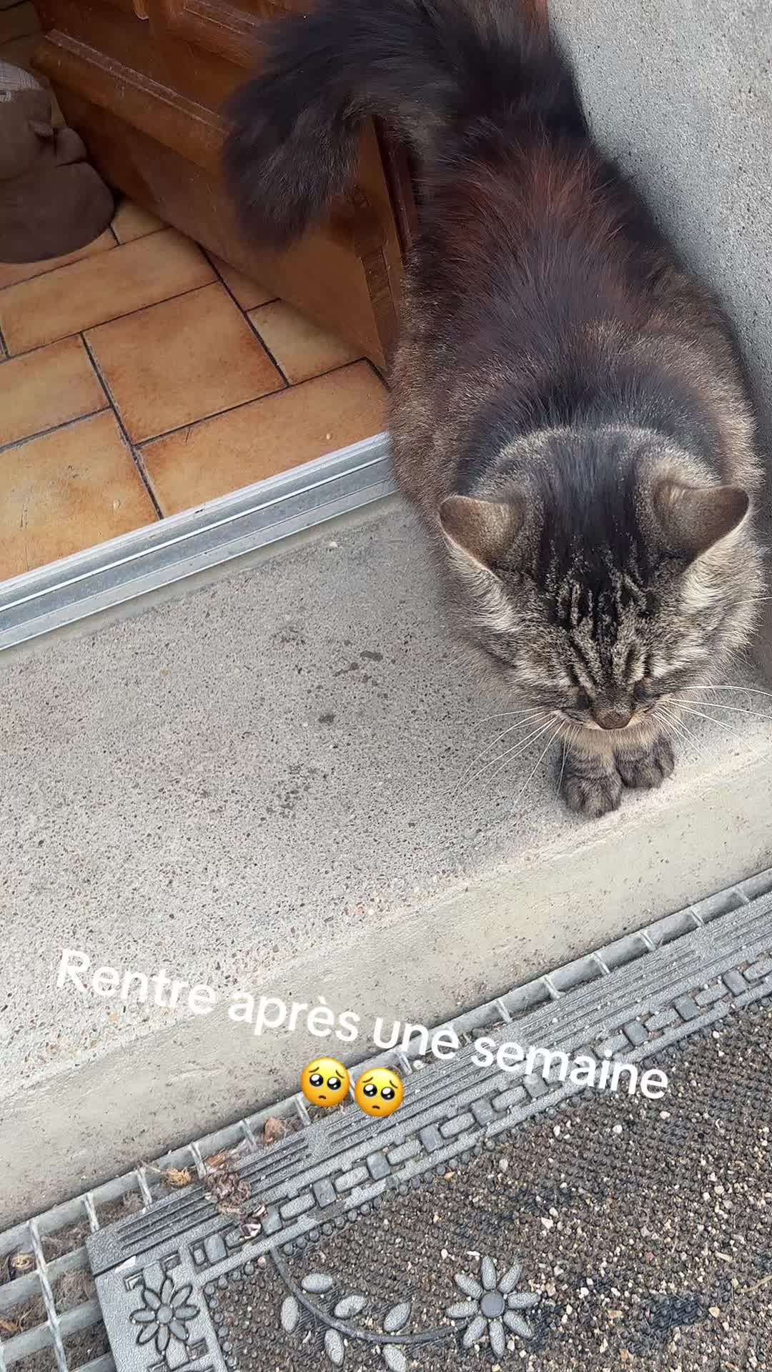 @Chatchientok