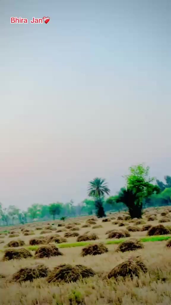 @Imran khosa