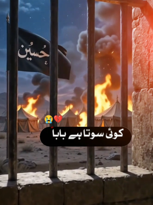 @علی زین