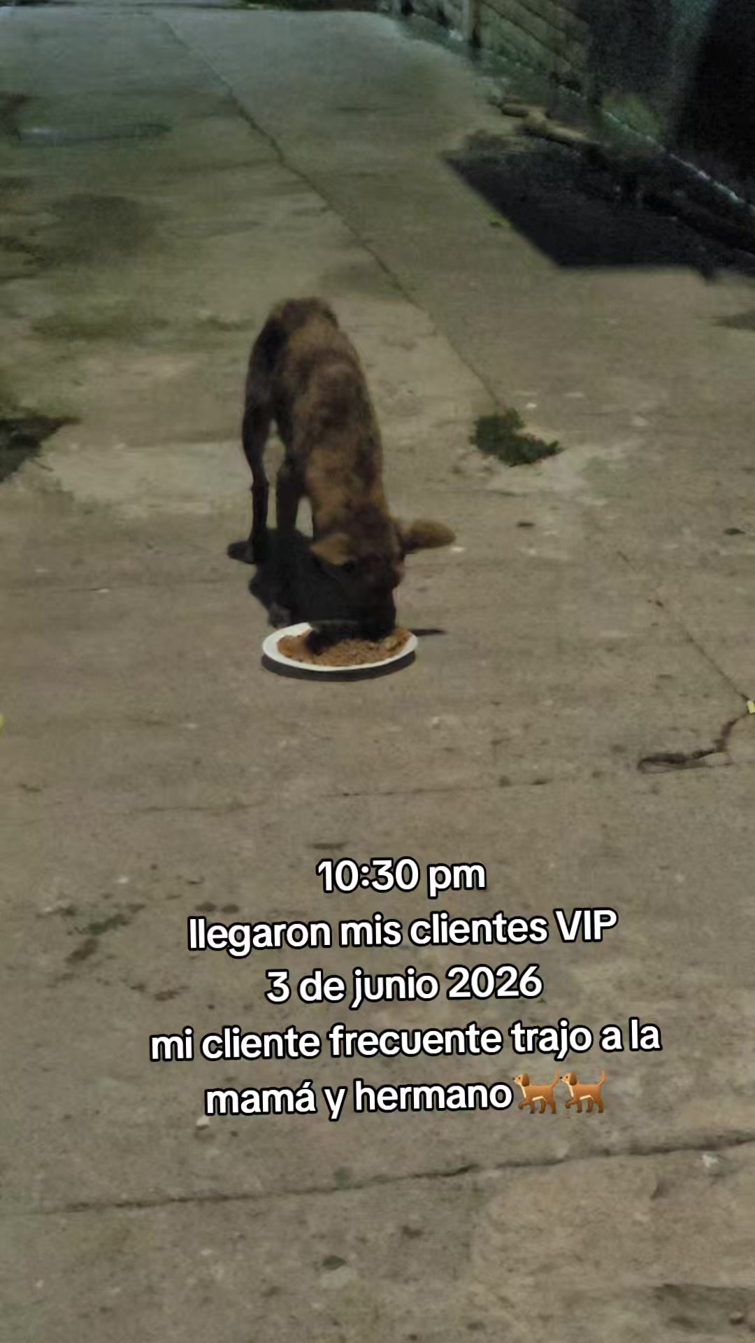@𝕃𝕚𝕤𝕤 ℝ𝕖yes🇸🇻