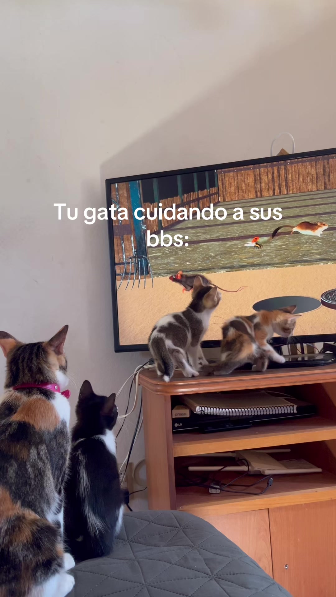 @Karem🥷