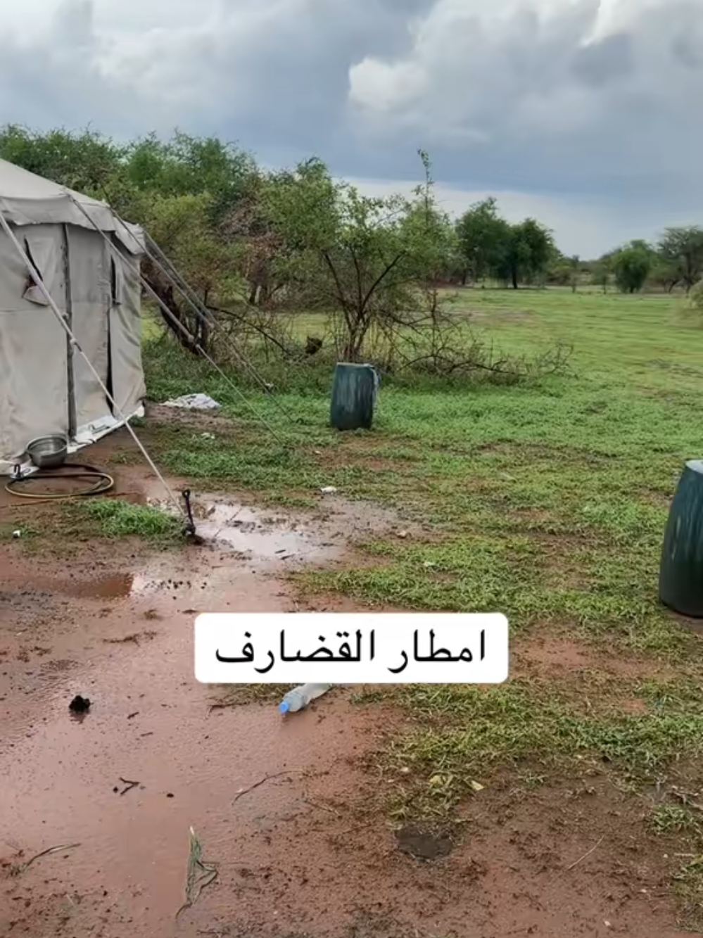 @ابوجليد محمد