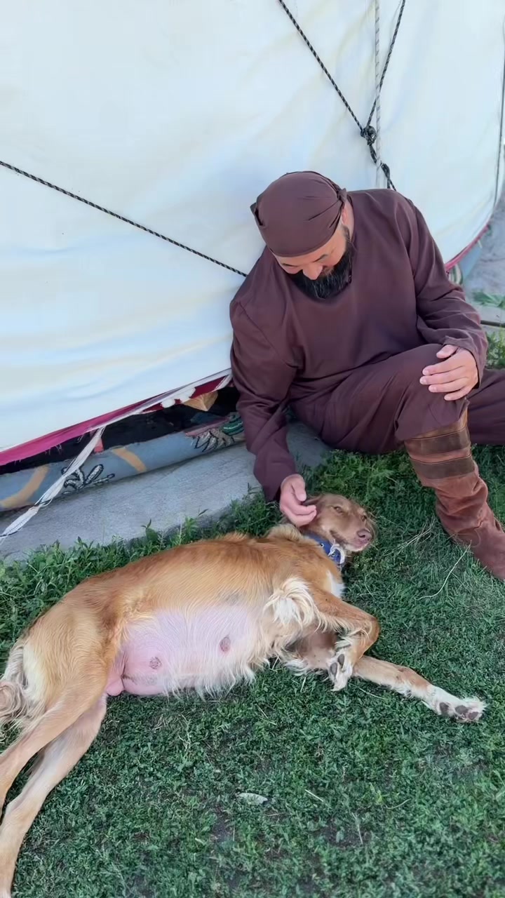 @amanjol777