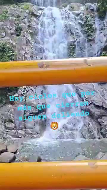 @TEFY ALARCÓN 🏳️🌈