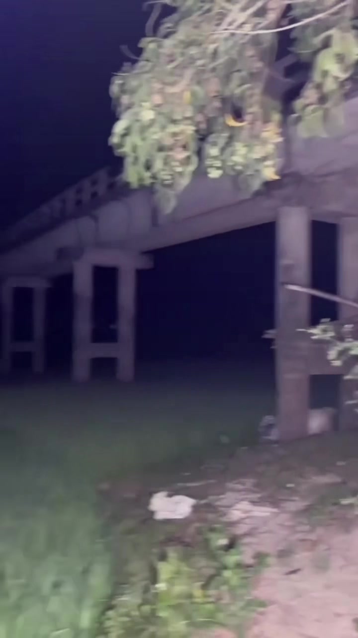 @๐๐Mιฦิาฝαส
~ Lαษณิσ๐๐