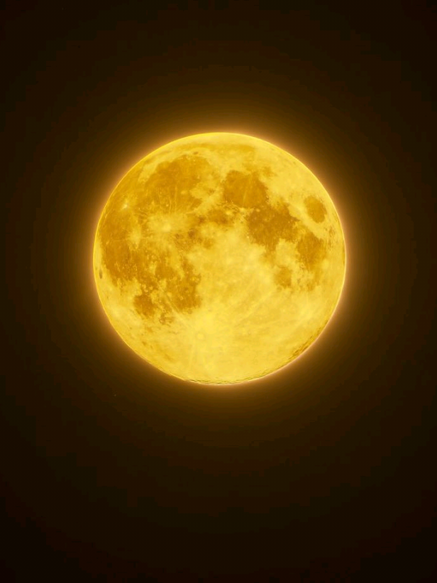 @୭ 𝑐 . 𝑀𝑒𝑔𝑢𝑟𝑢 ✦ ⚡