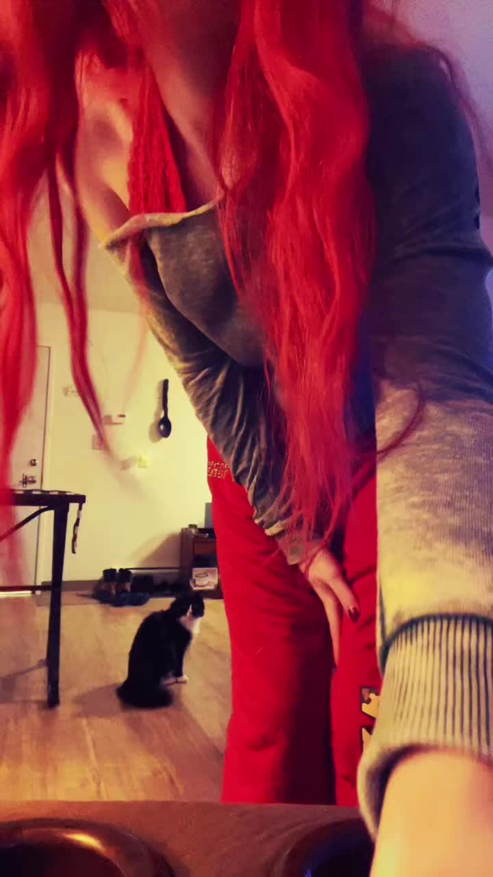 @dani 🖤