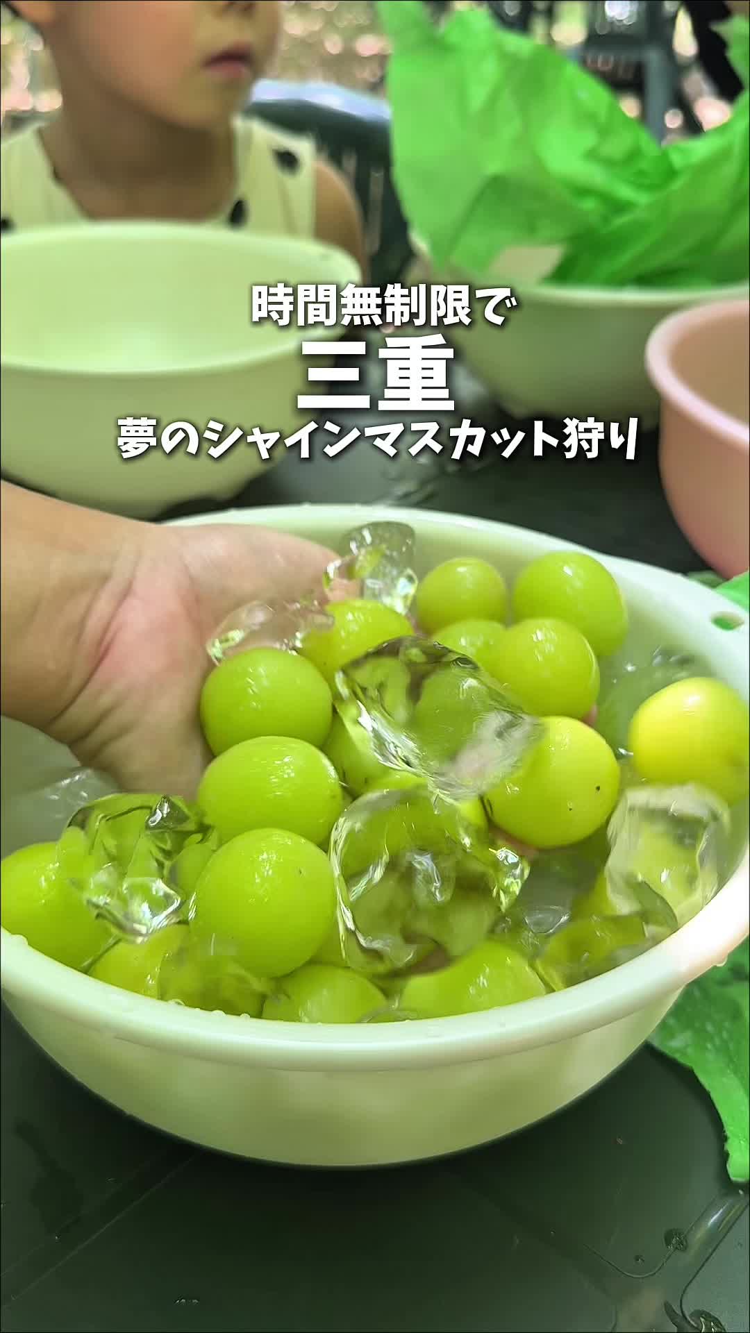 @nontabi_odekake