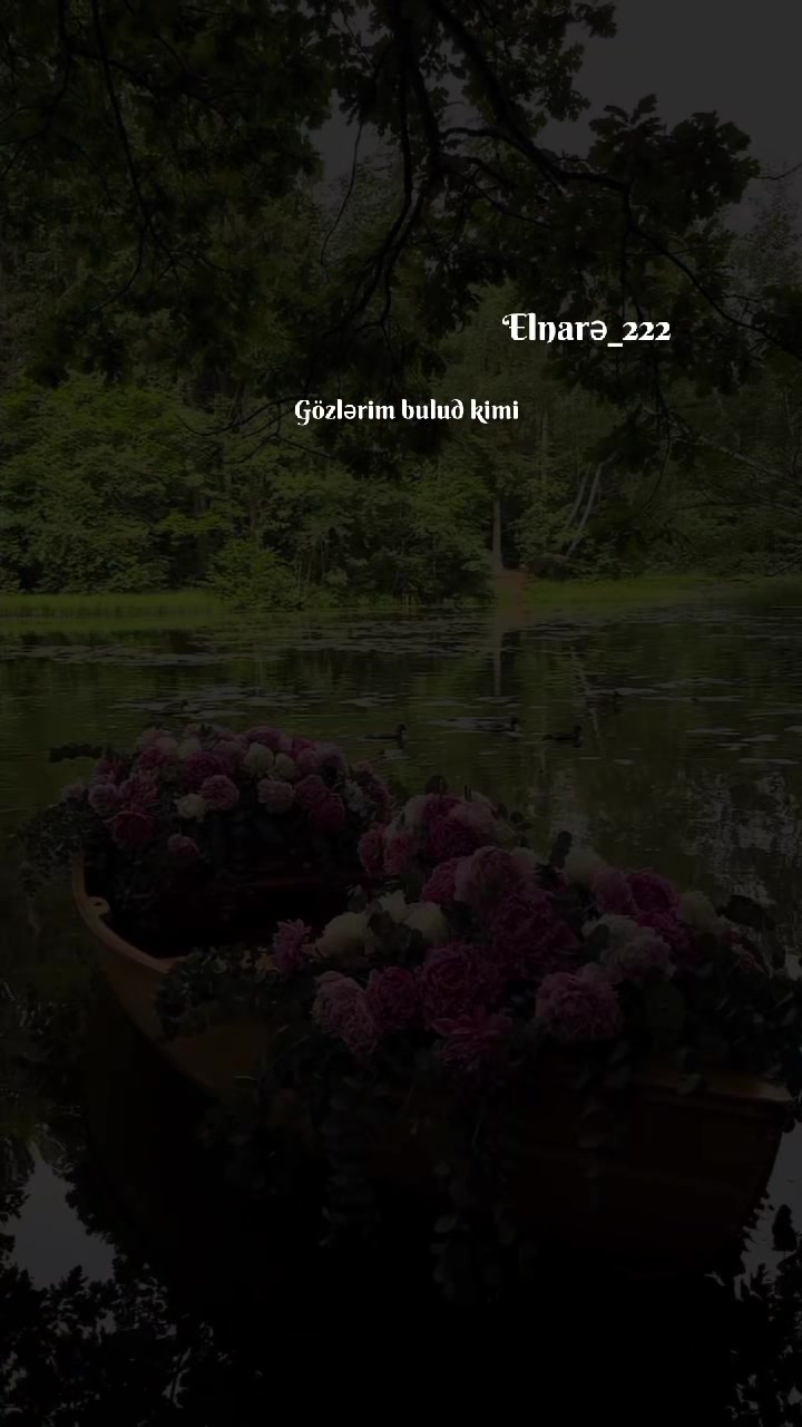 @๊งโโฐ๐
๐
๐
จ๐
โฐโ๊ง