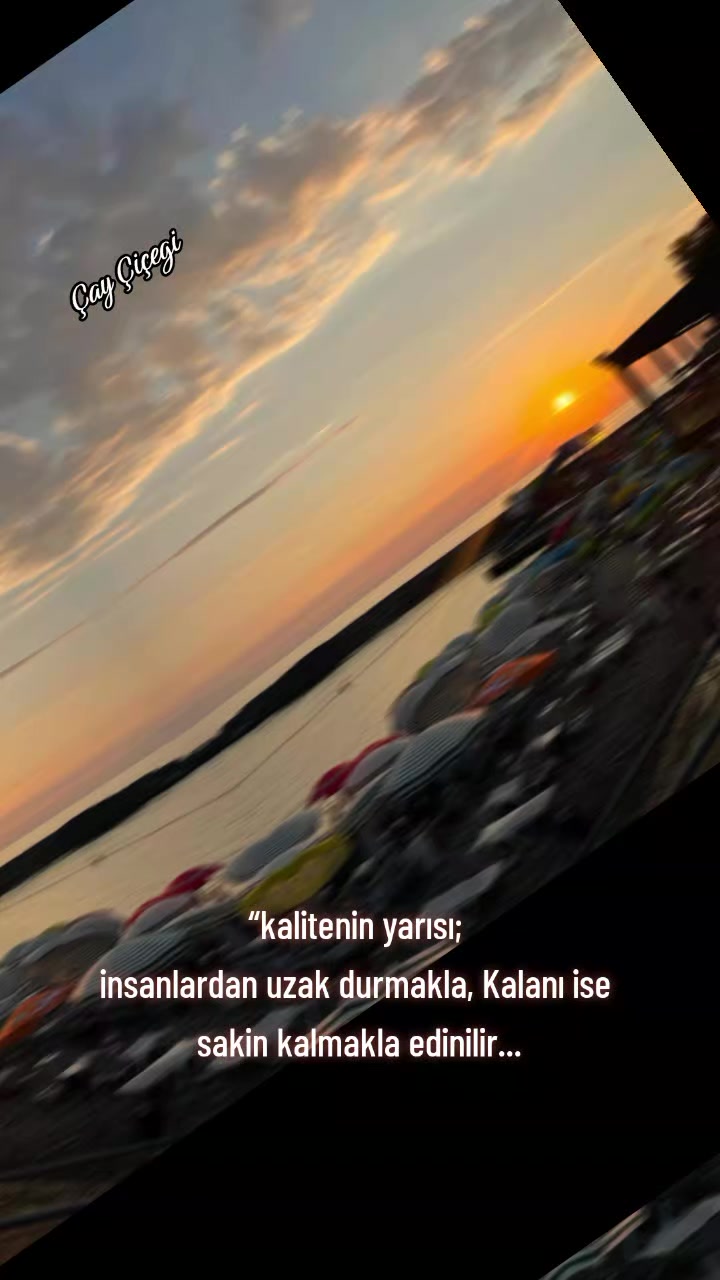 @Çay çiçeği-53