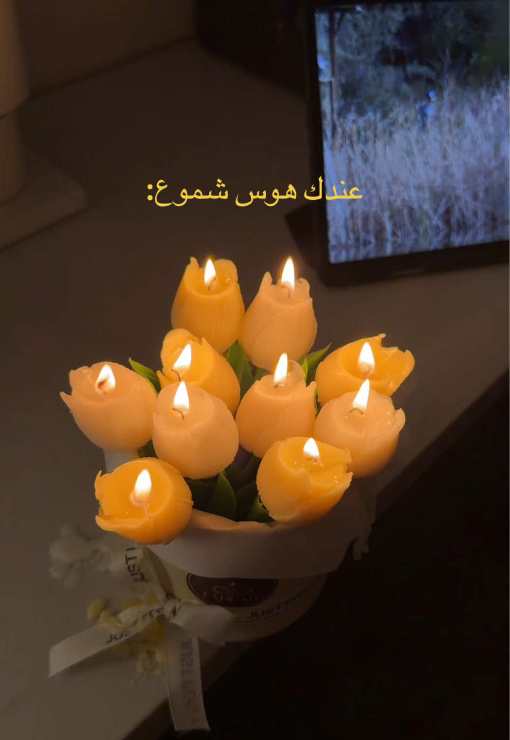 @شهد الزهراني 🪄
