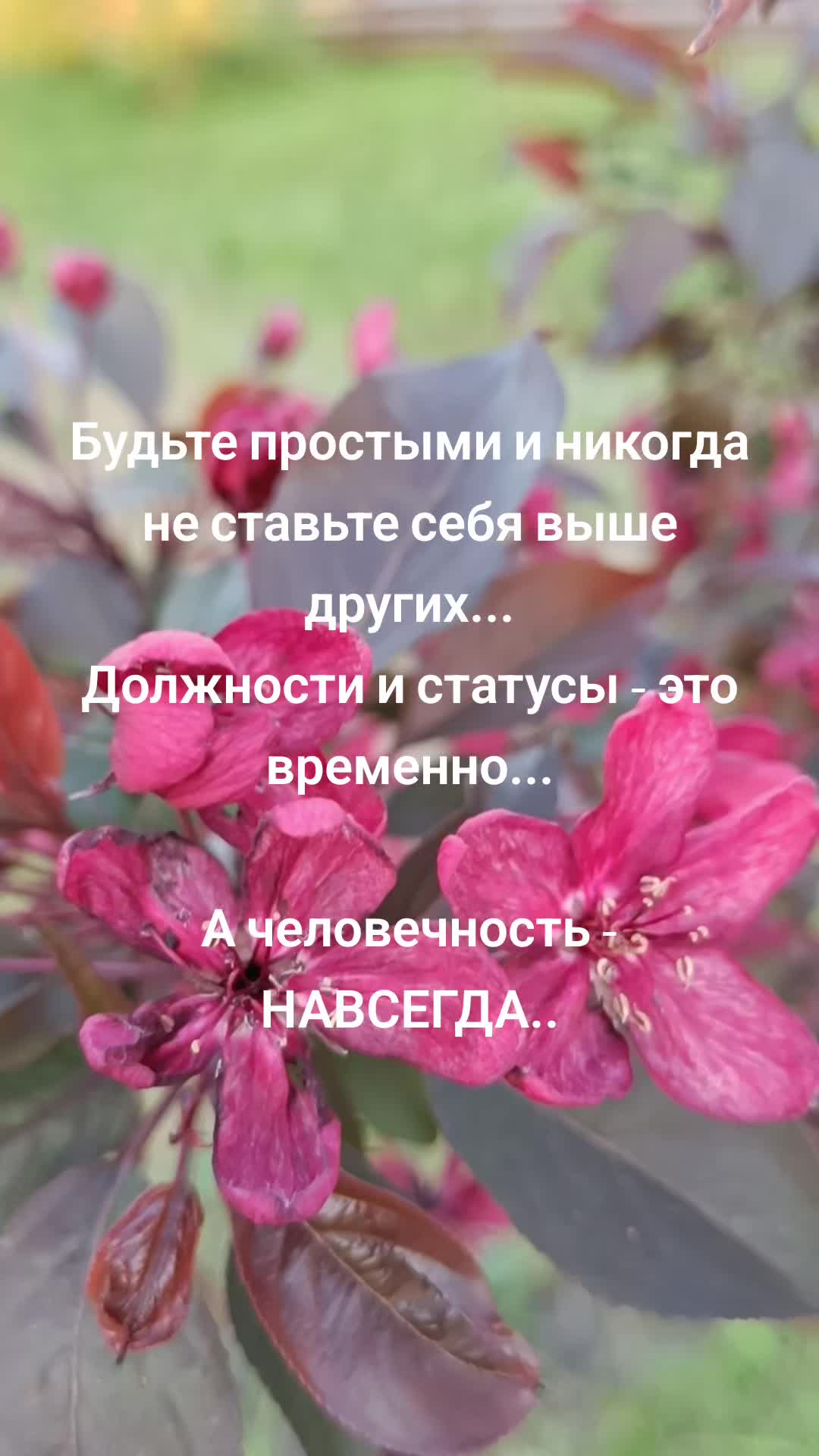 @yanozka