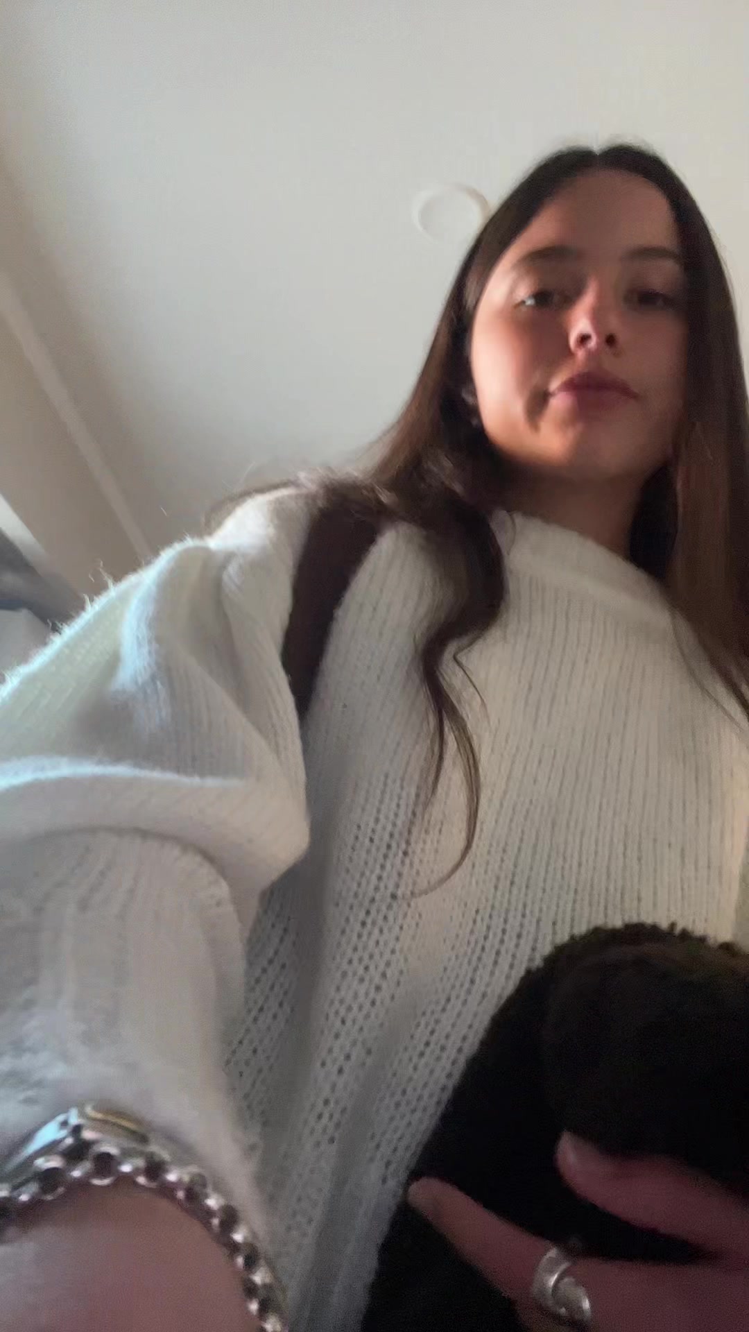 @chimuelo