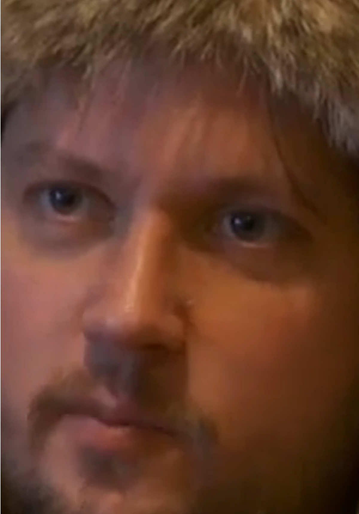 @Modest Mouse Archive