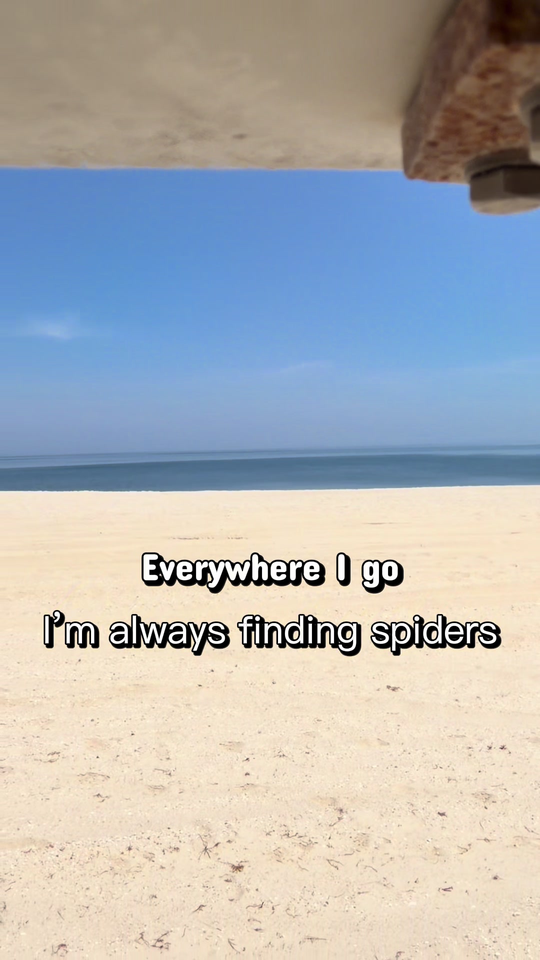 @arachnids