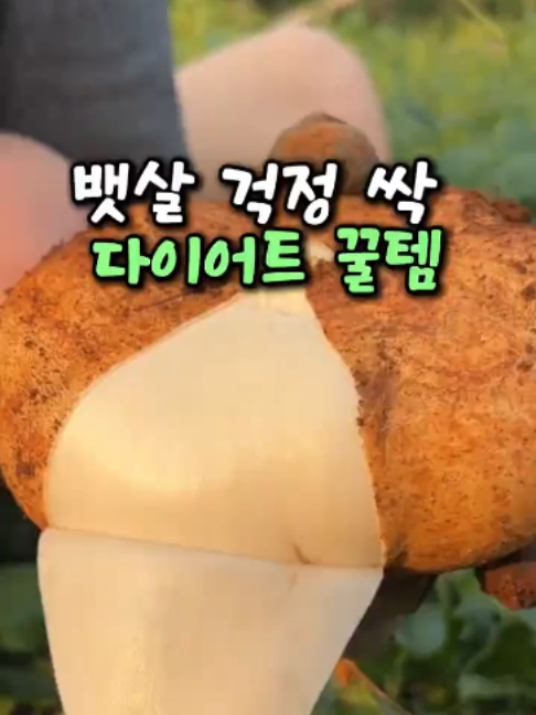 @살림하는 공대리