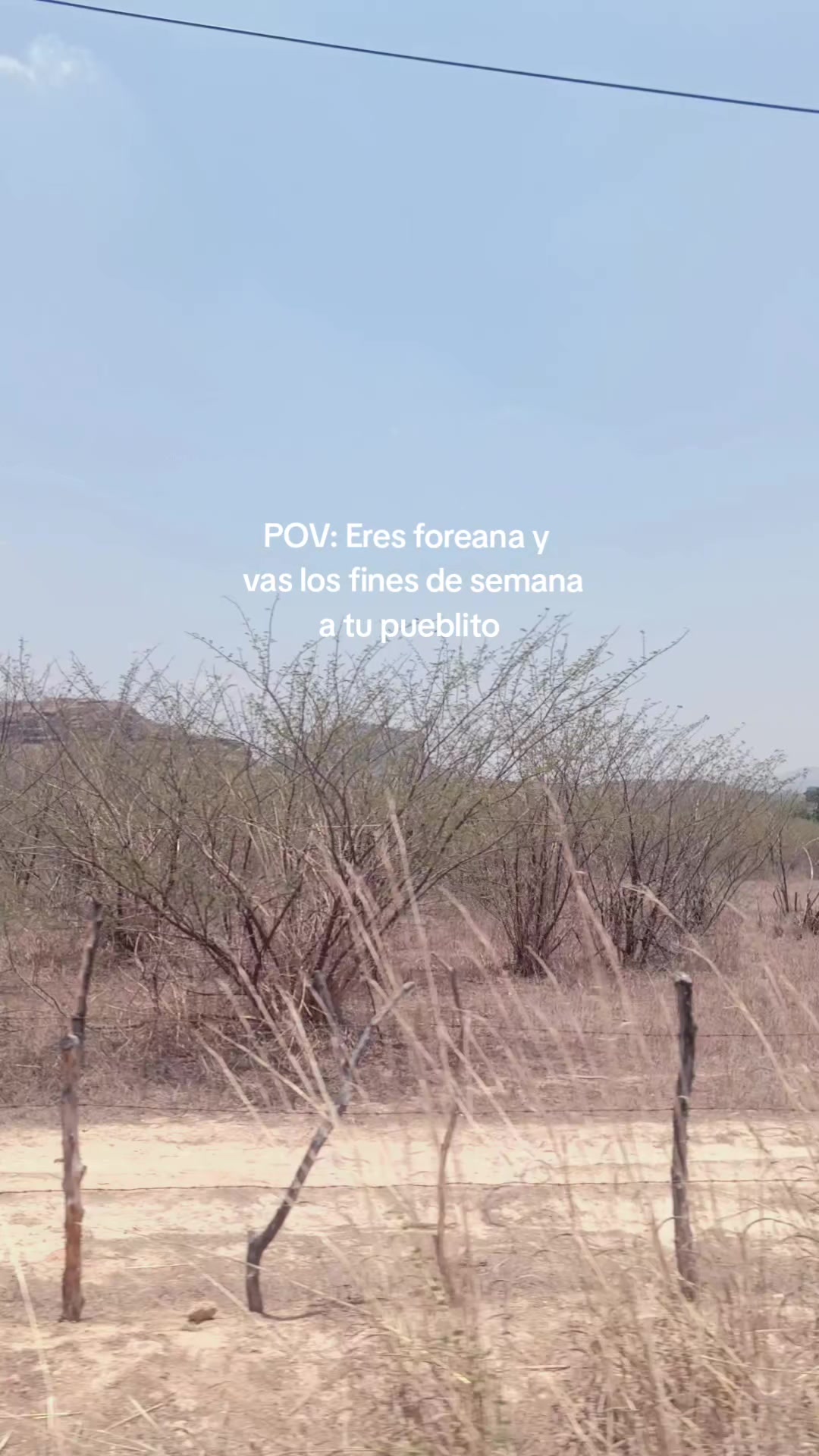 @Noemi Santos🌻