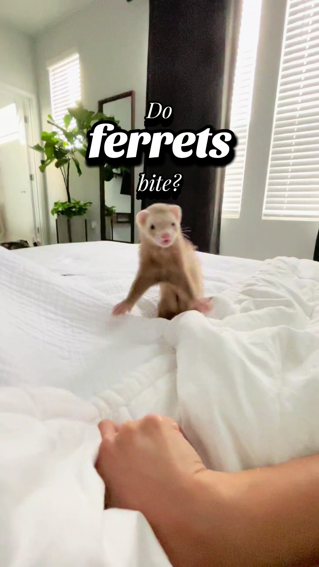 @Moon & Nala