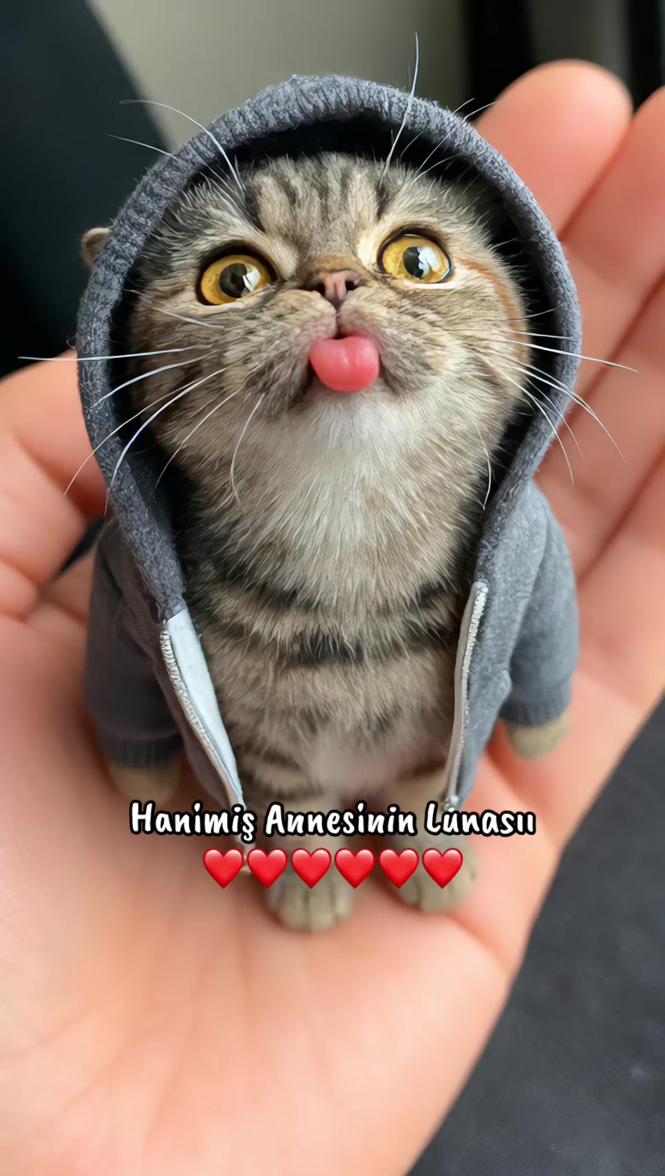 @DİLEK GÜRCAN🧿🧿