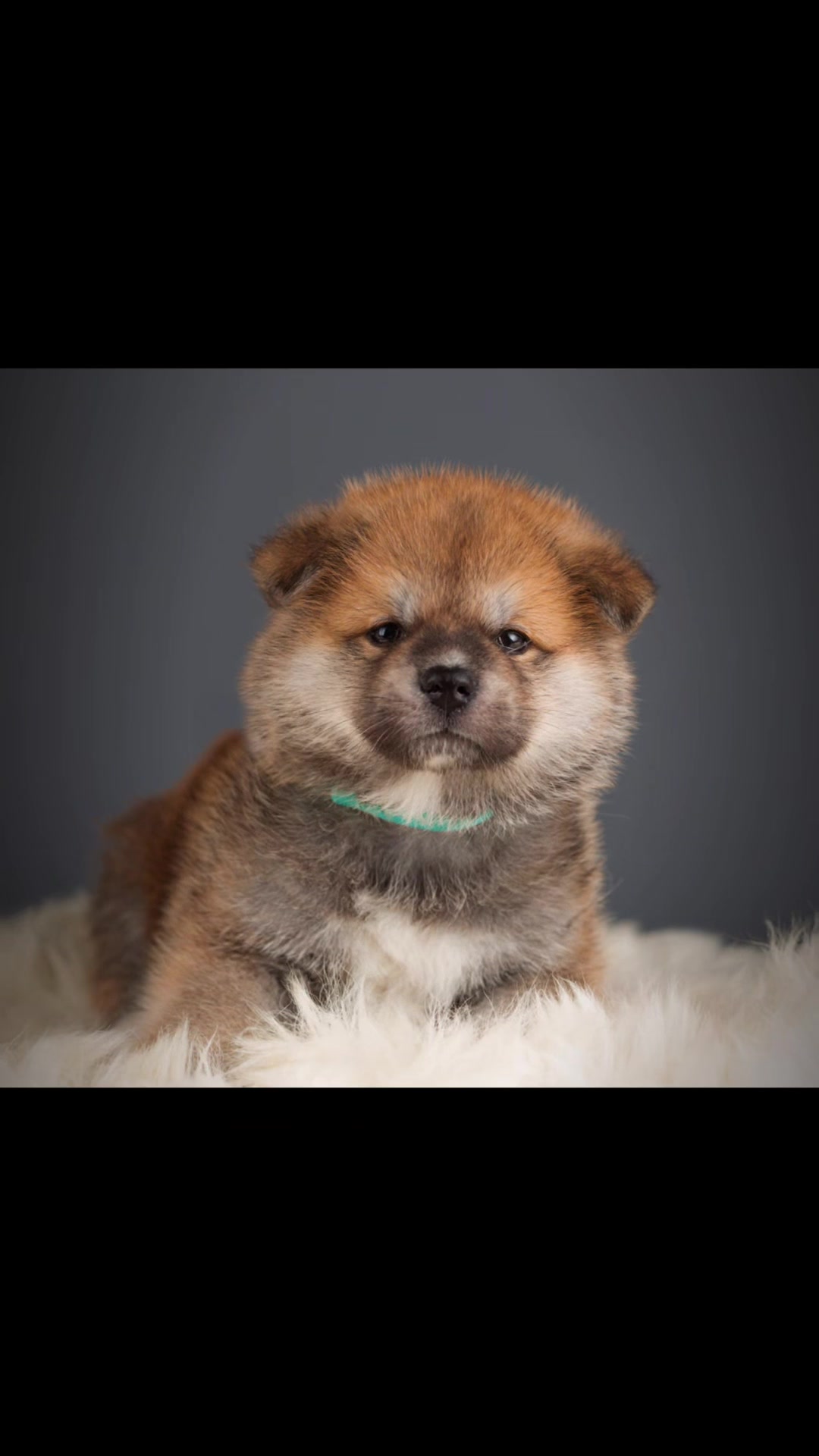 @oh_myakita