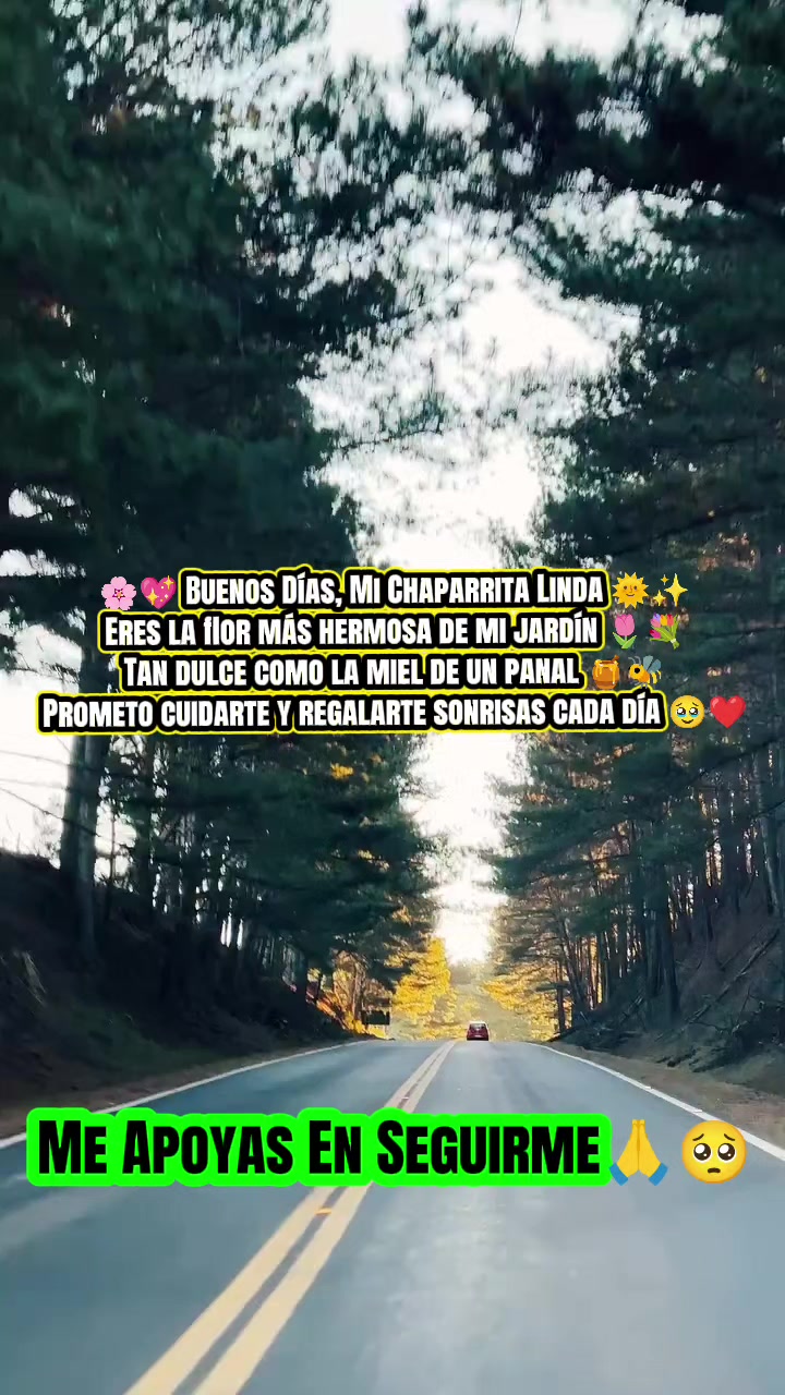 @🌹✨SoyAngelChamaléOficial🌹✨
