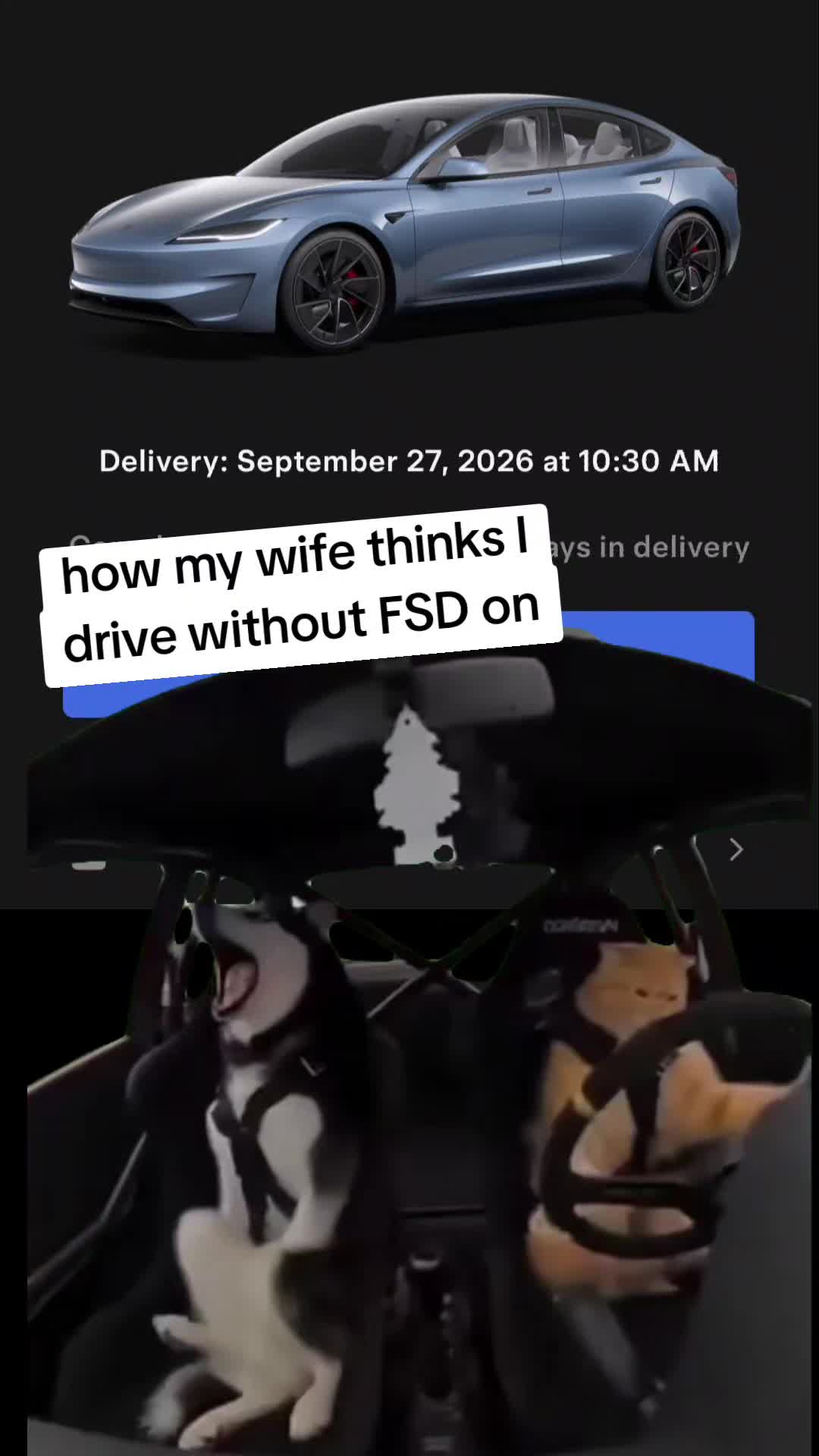 @FrostyTesla