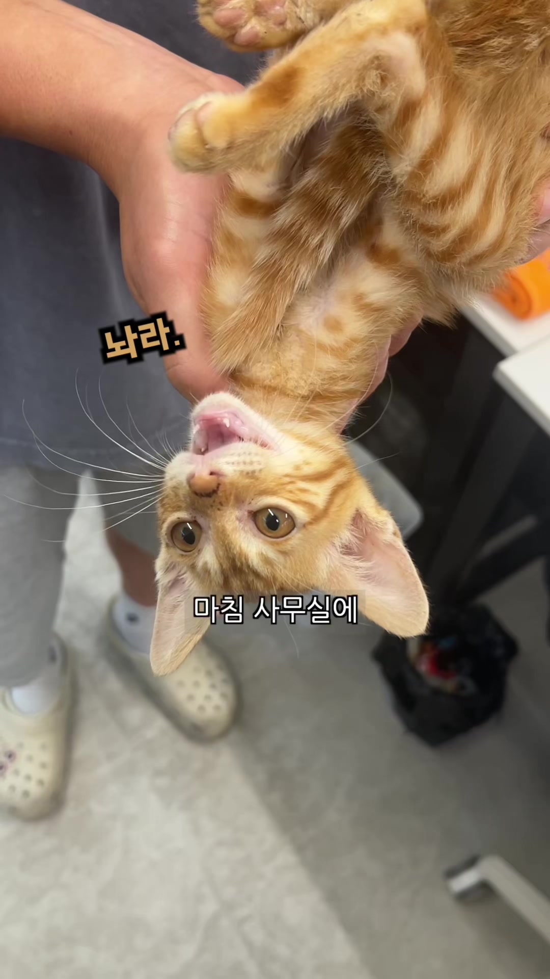 @리뷰하는회사원