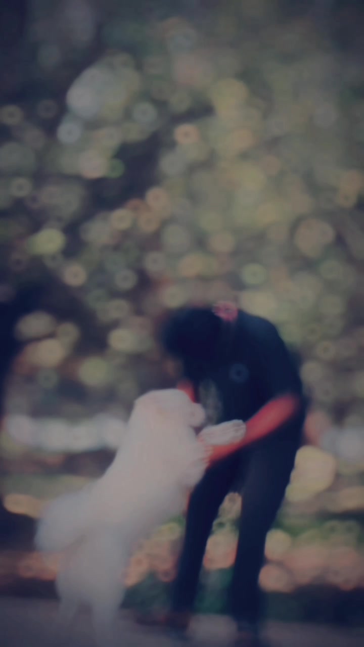 @𝚋𝚞𝚗𝚗𝚢