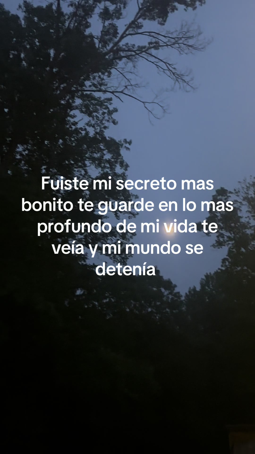 @bbchaparrita3