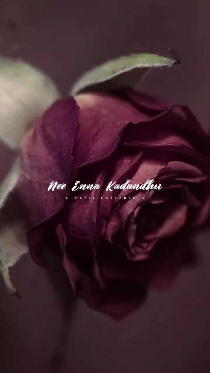 @AisyaRahman🌹