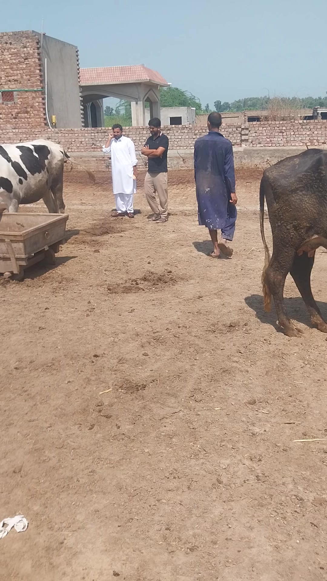@Qasim07