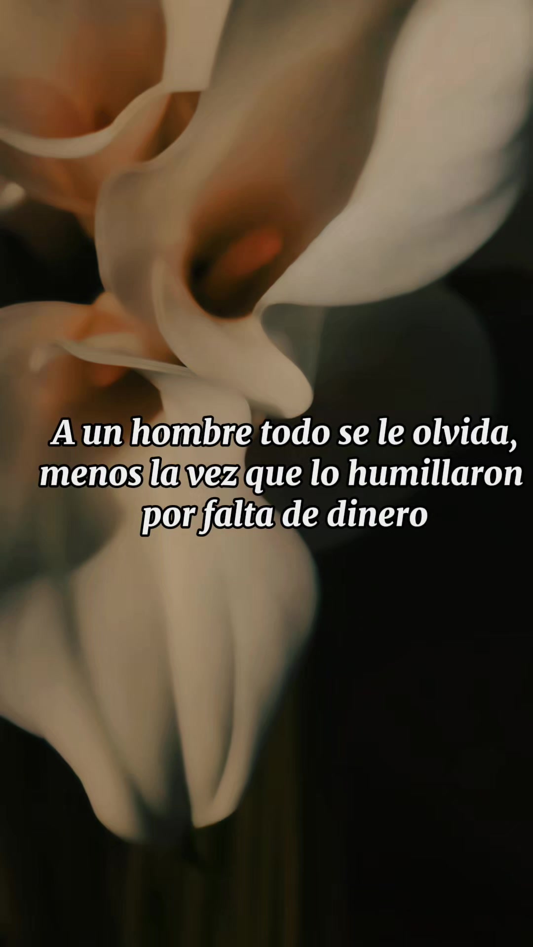 @Sr Uruchima Nyc