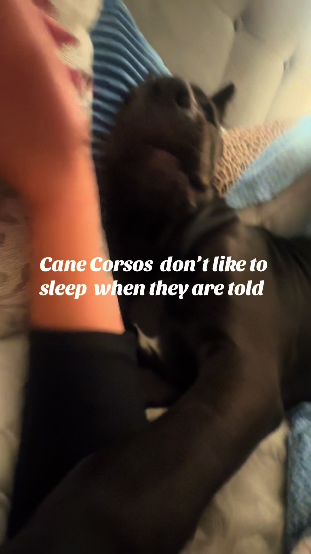 @Cait G