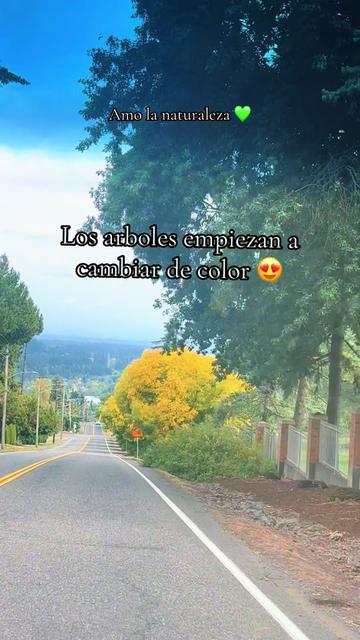 @💜LiLa🐐🌻🐬🐻💚🦔🎥