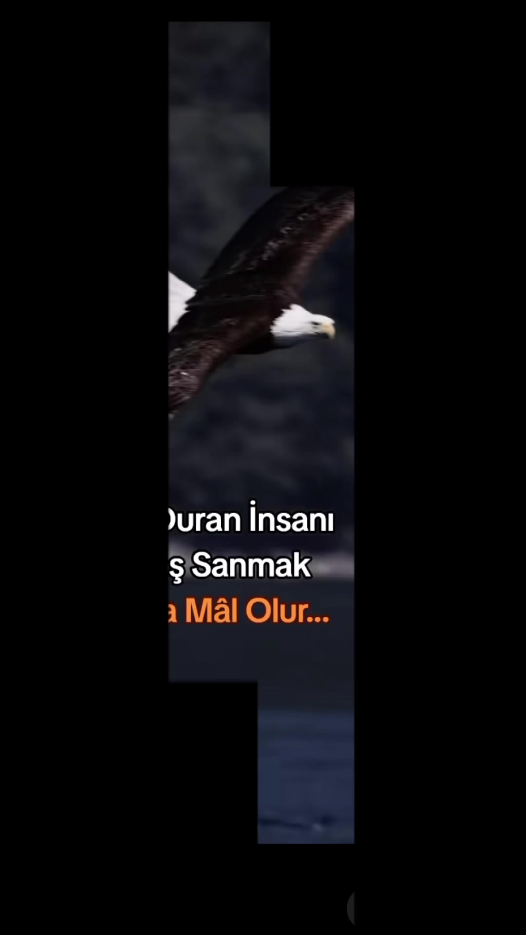 @Biraz delilik biraz felsefe