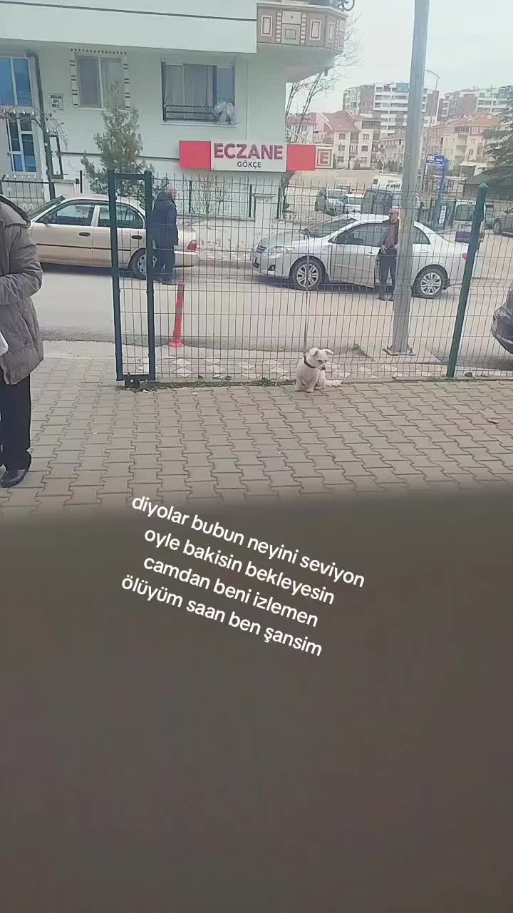 @derya1