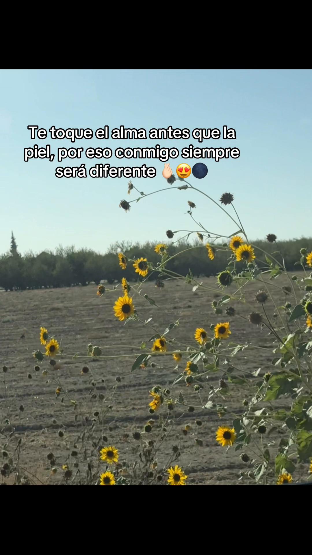 @💜😈🦥ᗩηηdι🍓🌻🧩♑︎