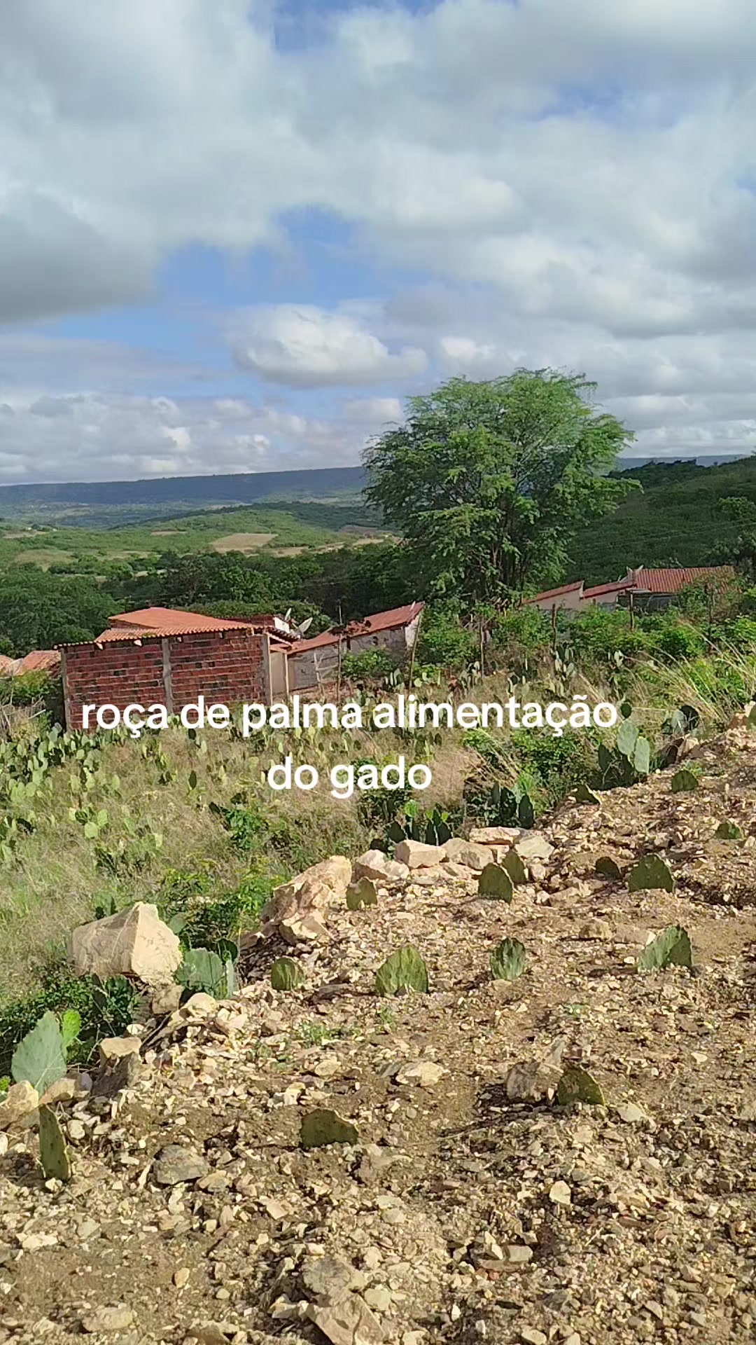 @Fátima Ferreira cosméticos