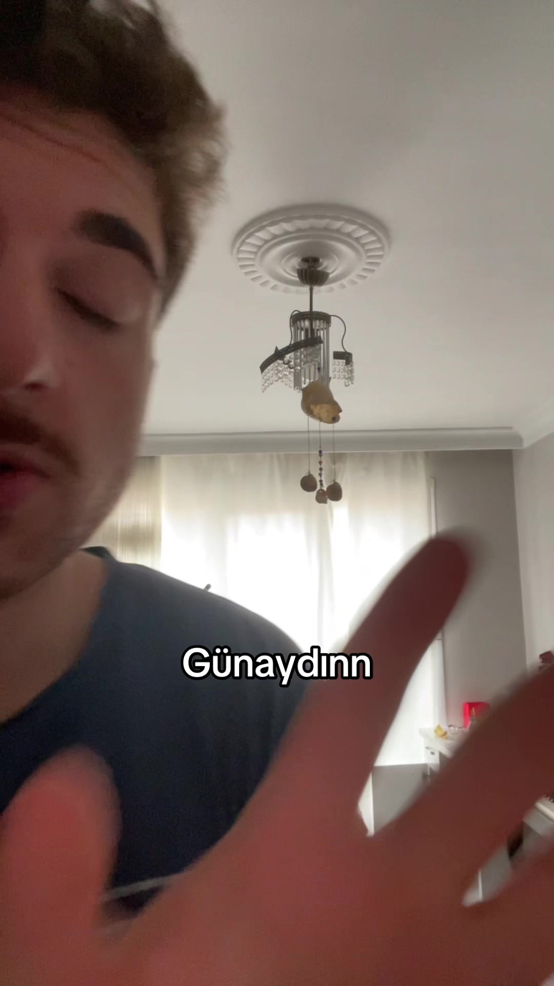 @malatya44kayisisi