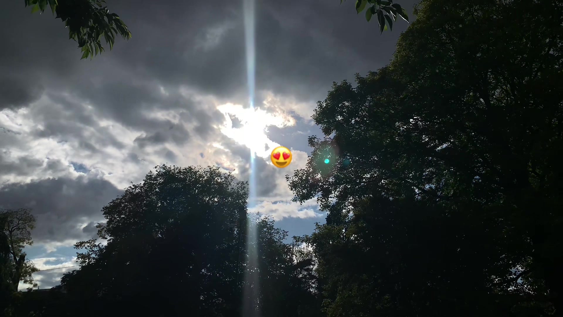 @Spideer.exee