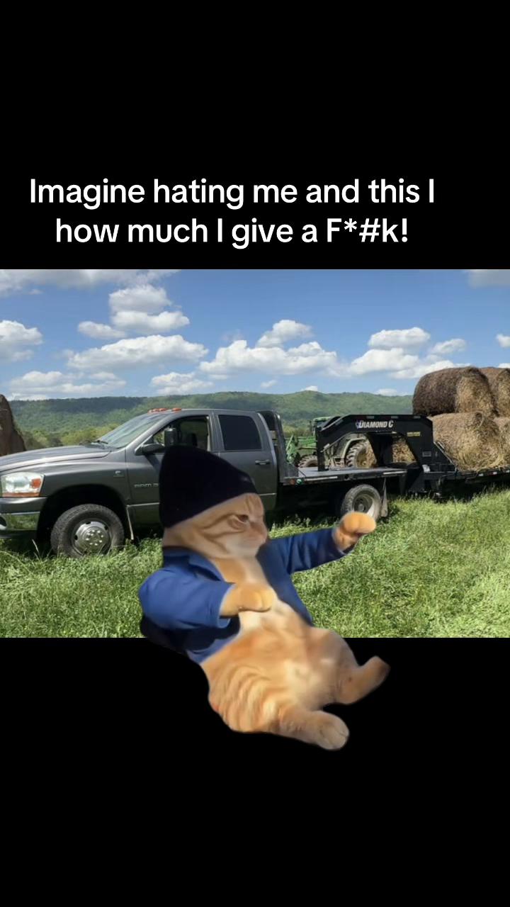 @tripleclivestock