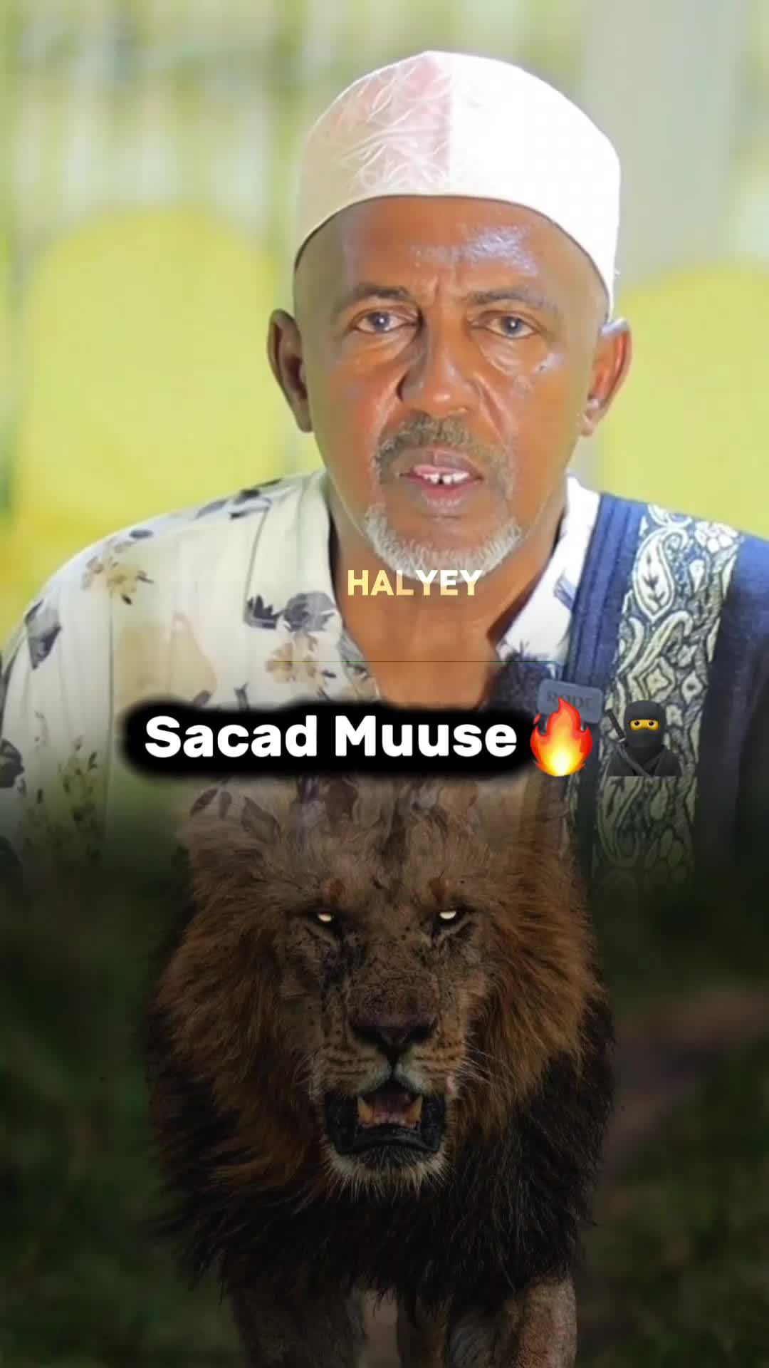 @𝐇𝐀𝐋𝐘𝐄𝐘_𝐒𝐏𝐒𝐀★𝐂B⁸⁸🦁