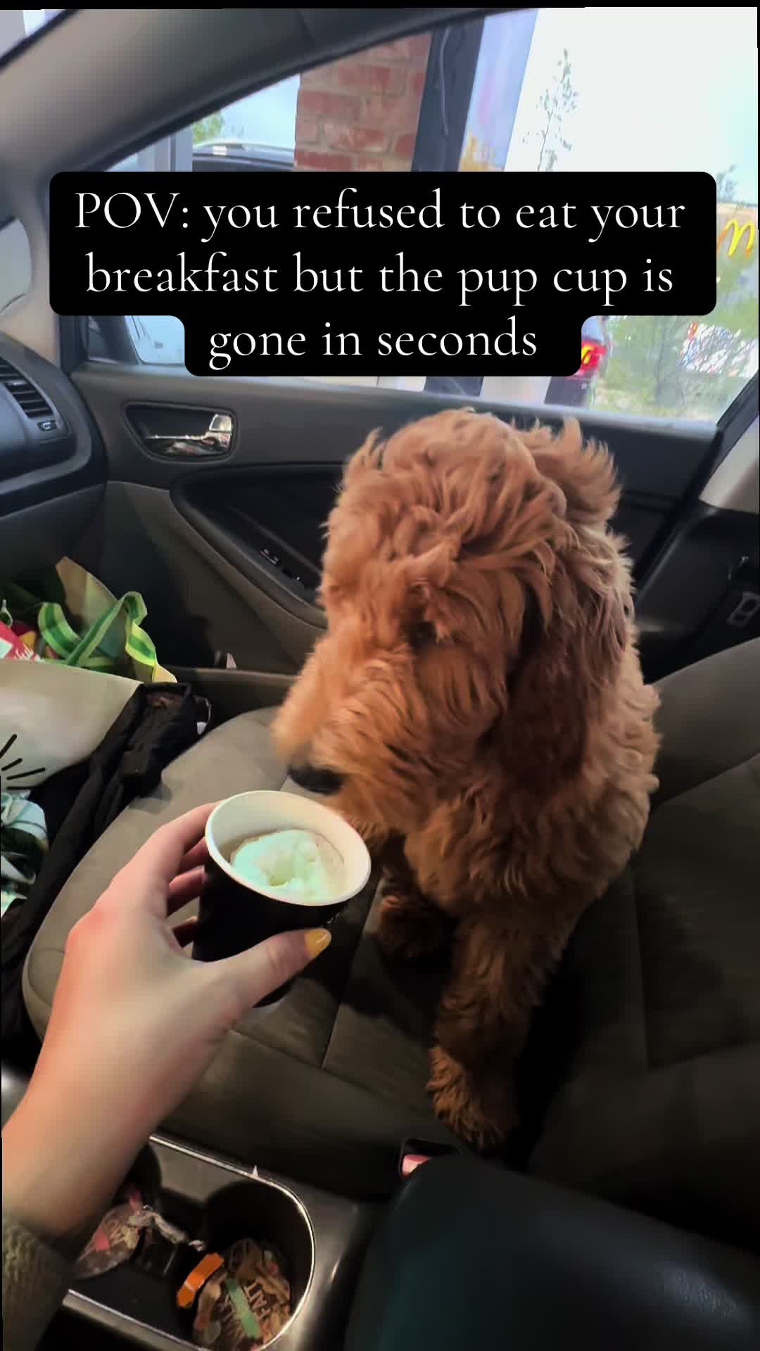@daily.golden.goose