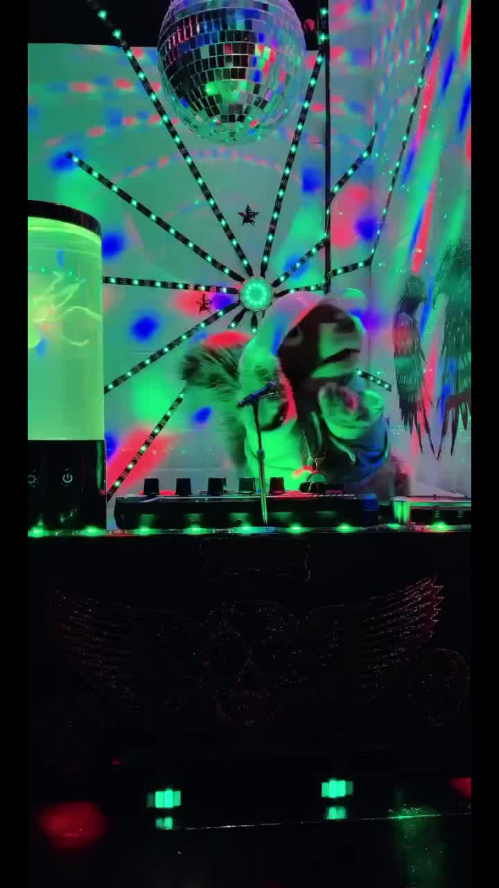 @djniddle