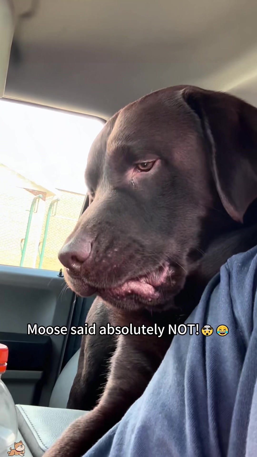 @SneakyFails