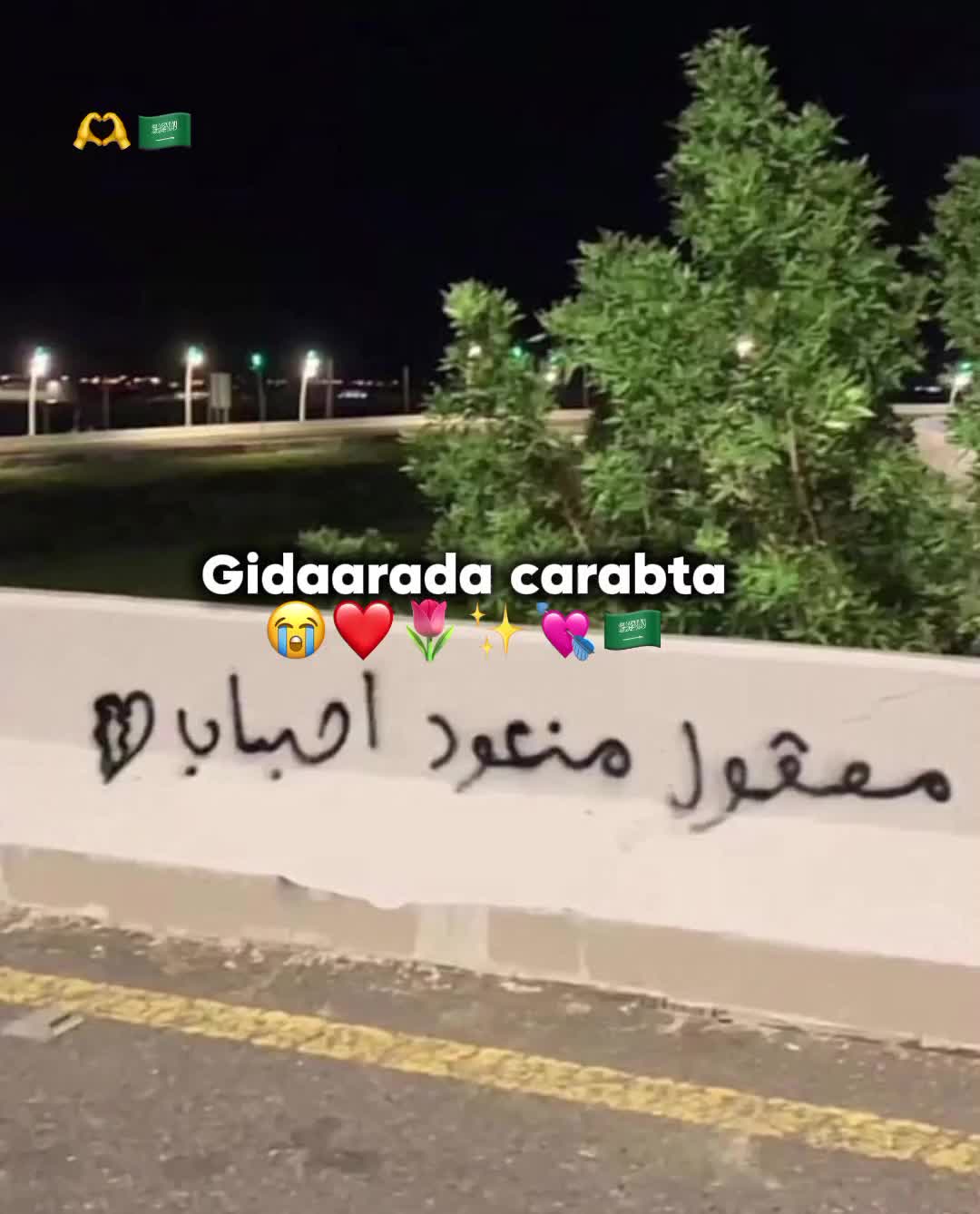 @حَــــمْــــدِي❤️✨️