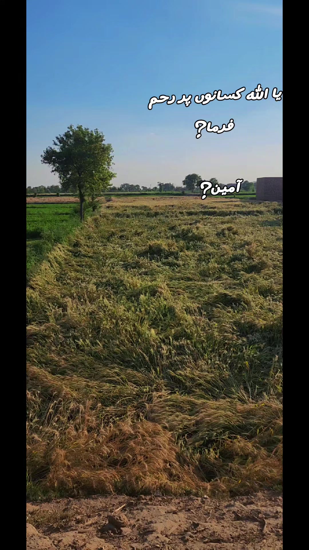 @🇵🇰معوذ☠️جٹ👑🔥