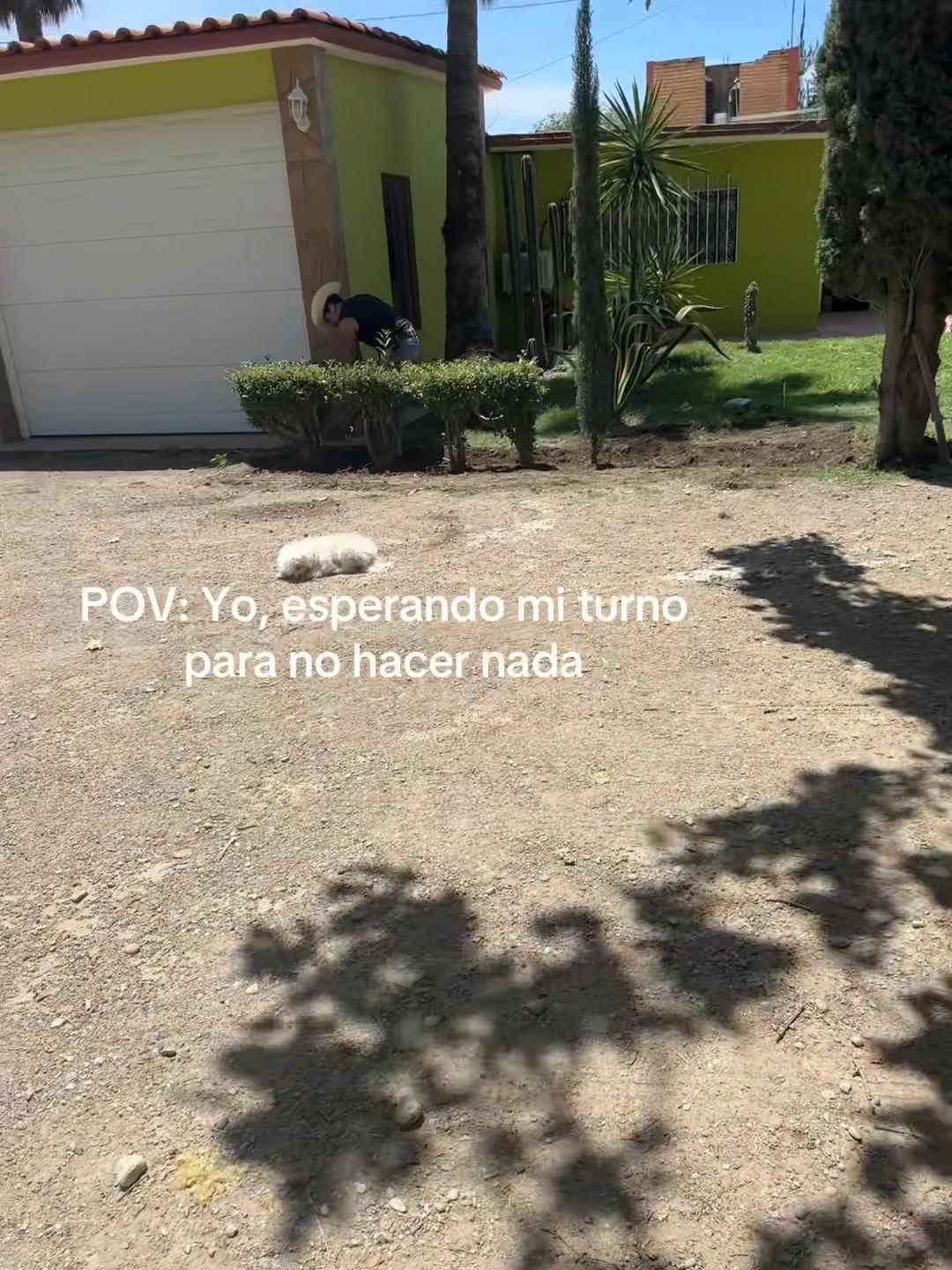 @Lilie Parra