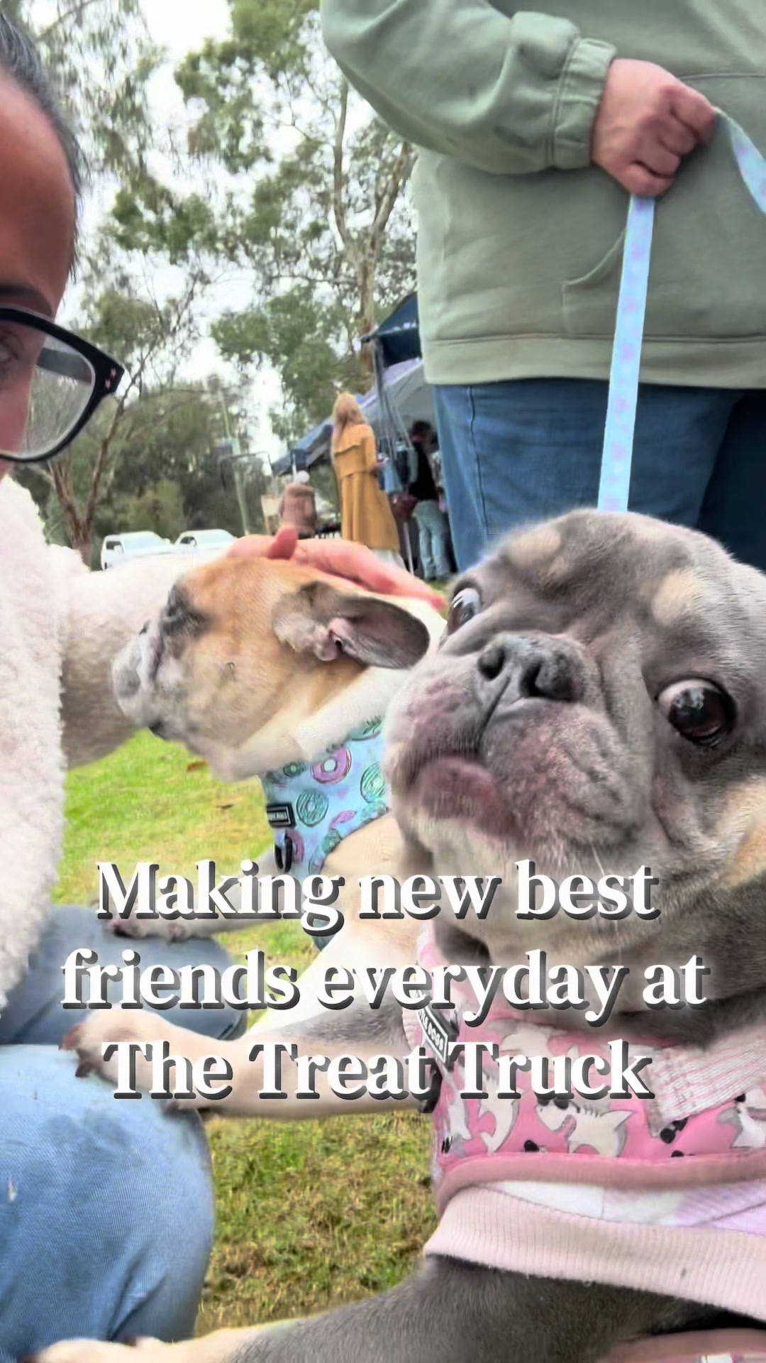@thetreattruckwa